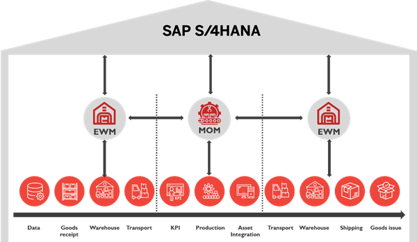 Three ways to accelerate and de-risk Global EWM Deployments