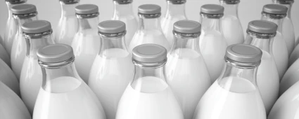 Dairy