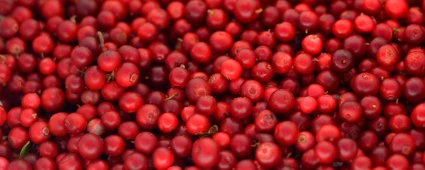 Fruits and vegetables