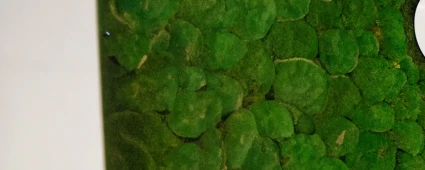 DEI: diversité, équité et inclusion