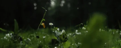 Livre blanc : La révolution de la durabilité