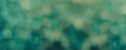 Microsoft Cloud pour un développement durable