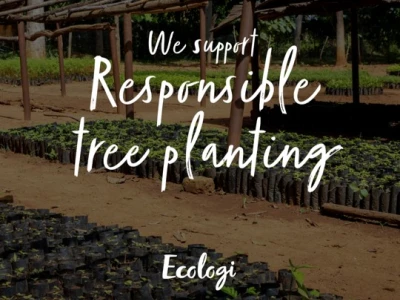 Ecologi - Reforestation