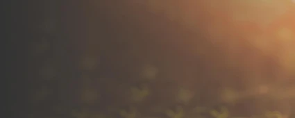 Productivité de l'utilisateur final