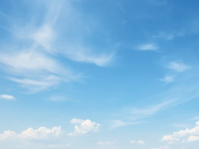 sustainability for business