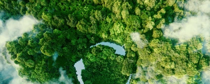 Sustainability : IT for Green